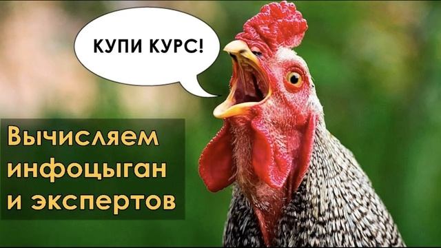 КАК Я КОНСУЛЬТИРОВАЛ НАЧИНАЮЩЕГО ИНФОЦЫГАНА | ОСТОРОЖНО ЗДРАВЫЙ СМЫСЛ | СЕРГЕЙ ФИЛИППОВ