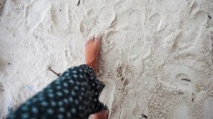 6473582-uhd_3840_2160_25fps