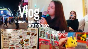 Игрушка из автомата с первой попытки! / Караоке / Пикник в круглосутке Влог