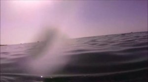 Море и пляж отеля Seven Seas Hotel Blue 5*. Турция, Сиде, сентябрь 2021 г.