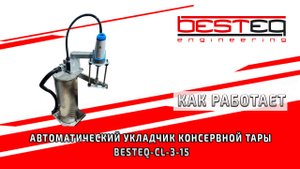 Автоматический укладчик консервной тары BESTEQ-CL-3-15