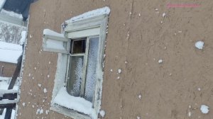 Приехали накормить кошку Машу
