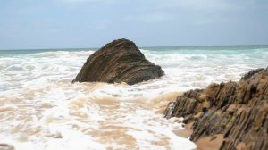 8094136-hd_1920_1080_30fps