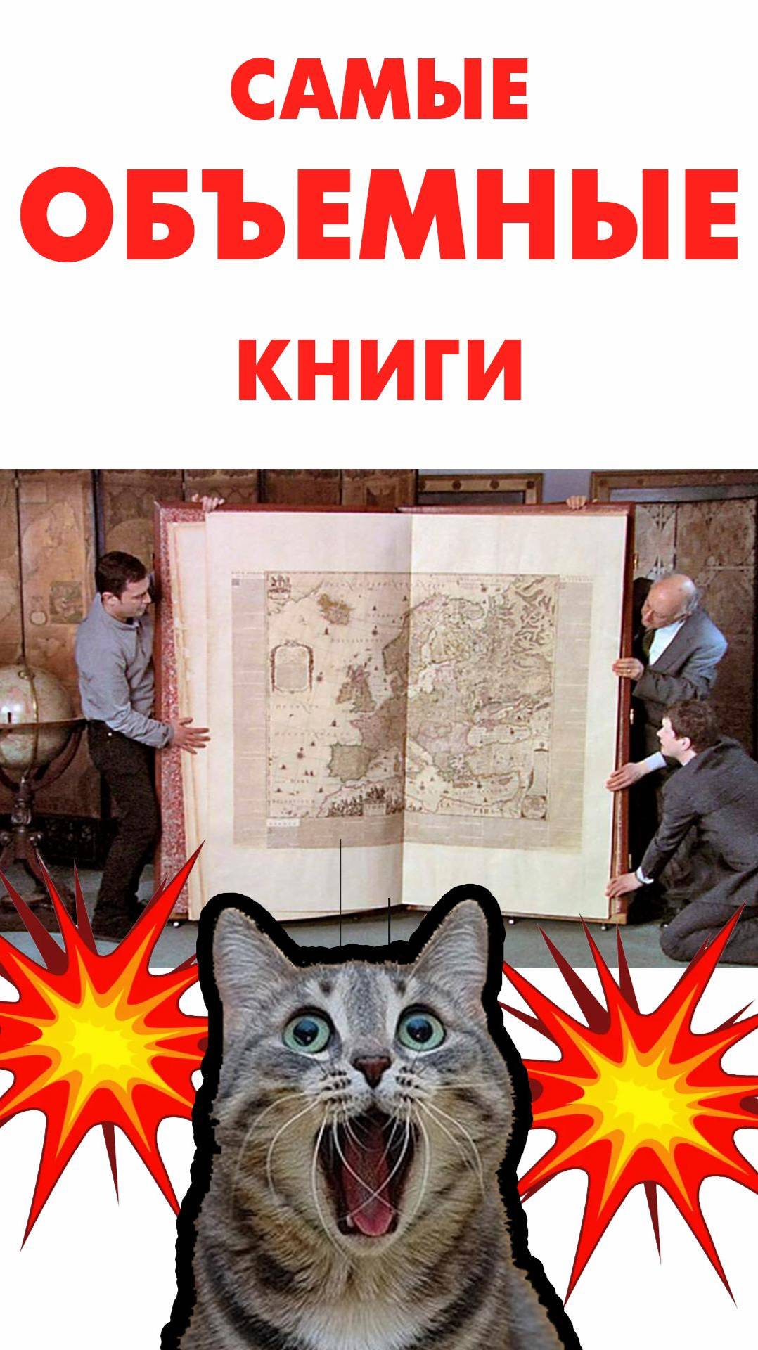 🔝 топ 5 самых больших книг в мире ⚡⚡⚡