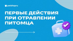 Что делать, если питомец отравился? Причины, симптомы и действия при отравлении животного