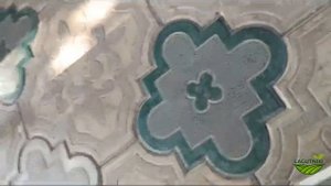 Лучшие капусты для квашения и соления | Мидор F1 и Авак F1