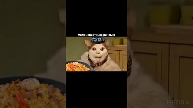 1a11577c0f218cf97152193971ba66cb.mp4 смотреть онлайн