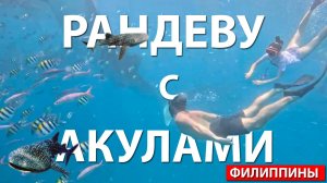 РАНДЕВУ С АКУЛАМИ | ВОДОПАДЫ | КУХНЯ | НАЦИОНАЛЬНЫЕ ТАНЦЫ