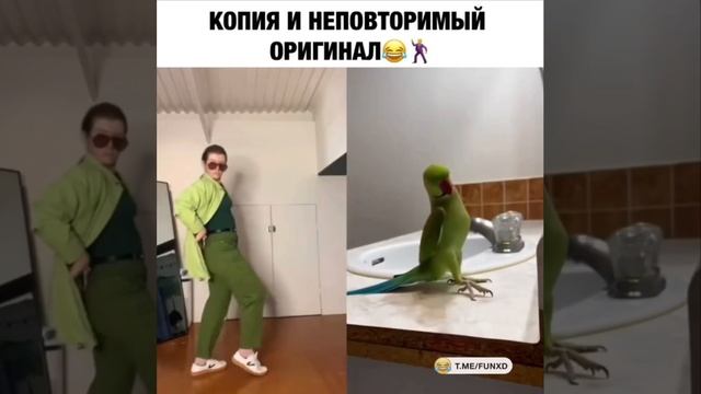 Поддержи подпиской 🙏 смотреть онлайн