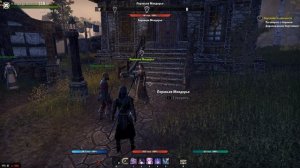 The Elder Scrolls Online часть 103 Напуганный народ