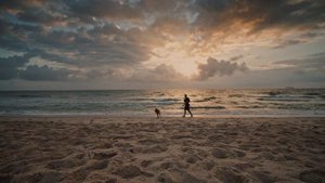 6770641-uhd_3840_2160_24fps