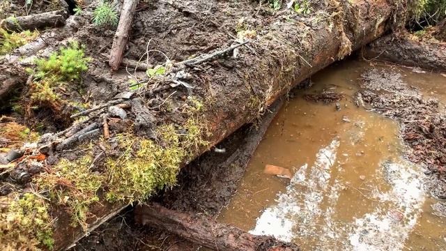 КОП ПО ВОЙНЕ! ХАБАР ИЗ ПАЛАТКИ! смотреть онлайн