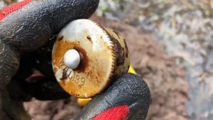 ПОСЛЕ ЗИМНЕЙ СПЯЧКИ! КОП ПО ВОЙНЕ 2023!