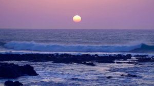 7054816-hd_1920_1080_30fps