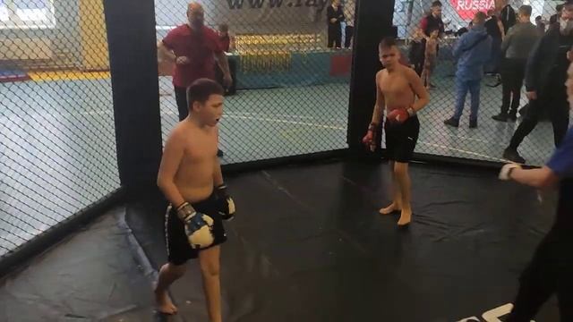 Dominator Extreme Fight 13 -18 смотреть онлайн