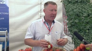 Удивительные новые сорта томатов и перцев! | Селекцентр Лагутники