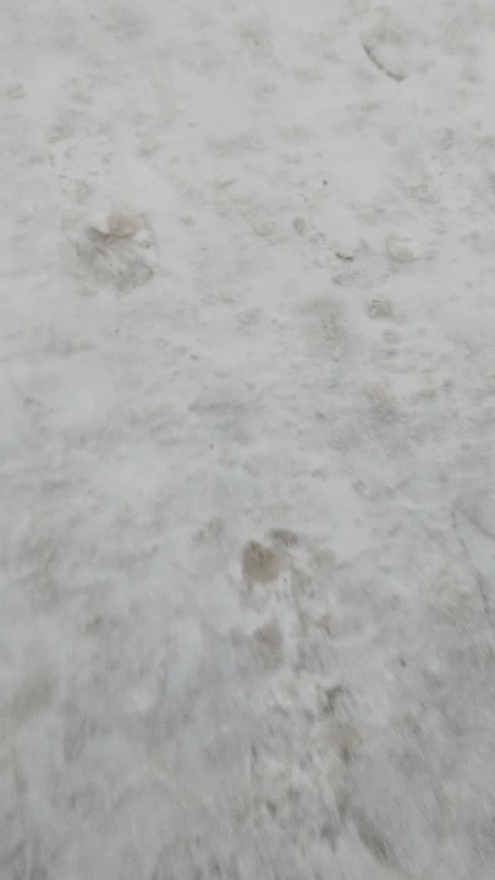 стрим