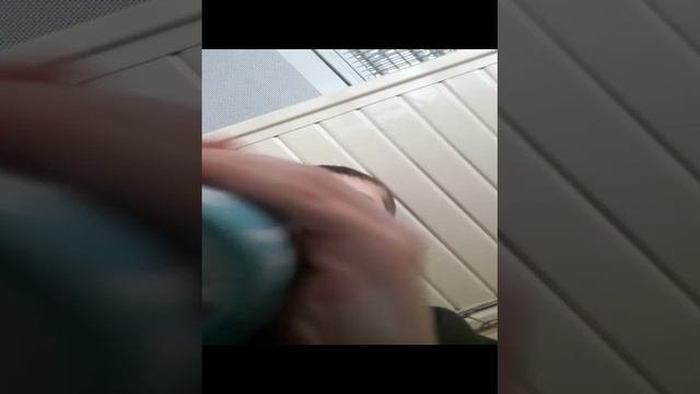 едем на поезде
