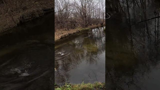 Малая речка, щука, КАЙФ, Aggressor  #norstream #fishing #рыбалка