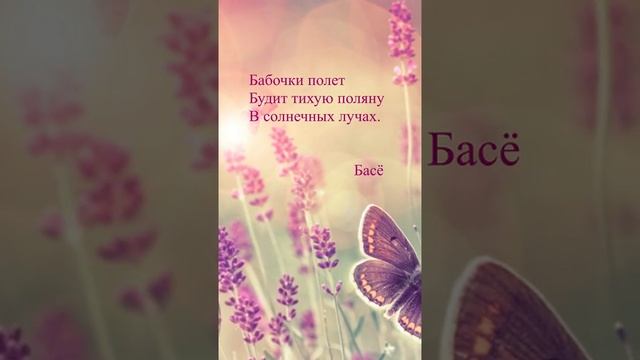 #shorts  Басё - "Бабочки полёт"