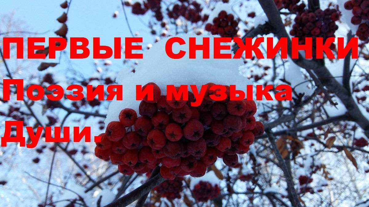 ПЕРВЫЕ СНЕЖИНКИ. Автор стихотворения и видео А. Соколов. Музыка Theme from Paradise.