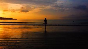 6981408-hd_1920_1080_25fps