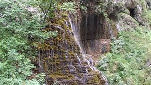 ЗОВУТ МЕНЯ В БАЛКАРИЮ