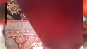 Посылка из Краснодара