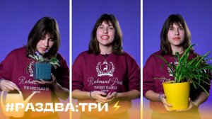 #Раздва_три факта о букетах