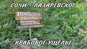 СОЧИ КРАБОВОЕ УЩЕЛЬЕ В ЛАЗАРЕВСКОМ НОЯБРЬ 2024