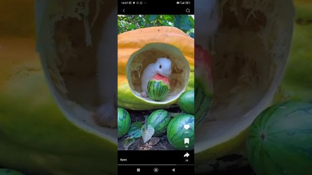 1000004356.mp4