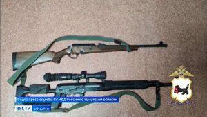 Застреливших самку оленя браконьеров задержали в Ольхонском районе