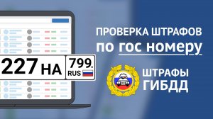 ОПЛАТА ШТРАФА ГИБДД ПО ГОС. НОМЕРУ АВТО | COMPAS.PRO