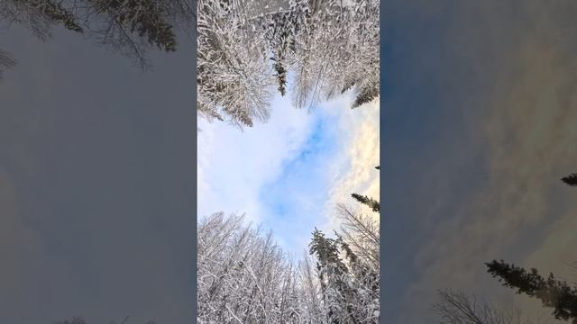 природа, Усинск 2024, ноябрь