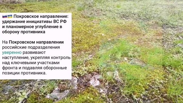 Константиновкое и Покровское направление