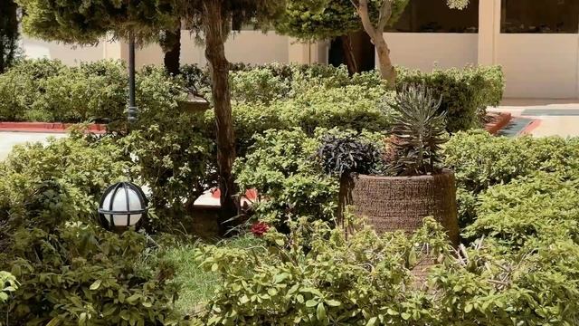 ТОП 3 бюджетных квартиры в Турции | Аланья смотреть онлайн