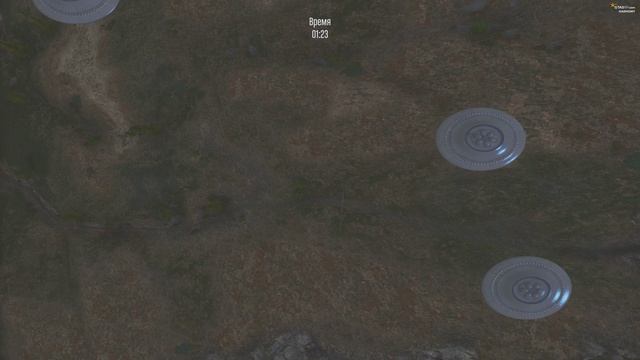 Bug