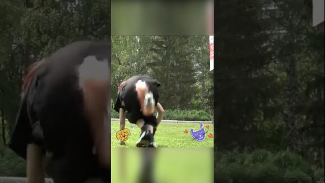 Чем увлекается сейчас детвора