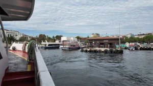 12586645_3840_2160_50fps