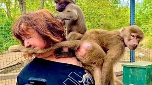 ЭКСКЛЮЗИВ полный Гамадрилы Люся и Степа просто ПОРВАЛИ маму от большой любви