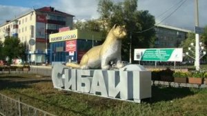 всякое бывает