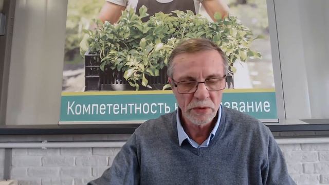 Подзимний посев овощей.