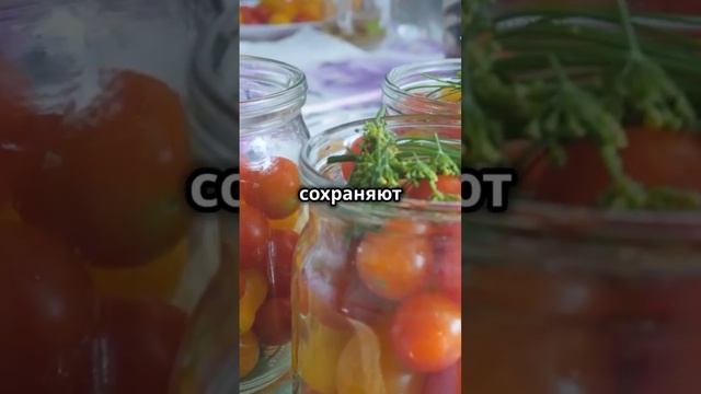 ЛУЧШИЕ ПОМИДОРЫ ДЛЯ ЗАГОТОВОК  #заготовкиназиму #овощи #помидоры #заготовкаеды