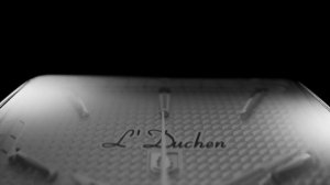 D 601.11.33, наручные часы L'Duchen