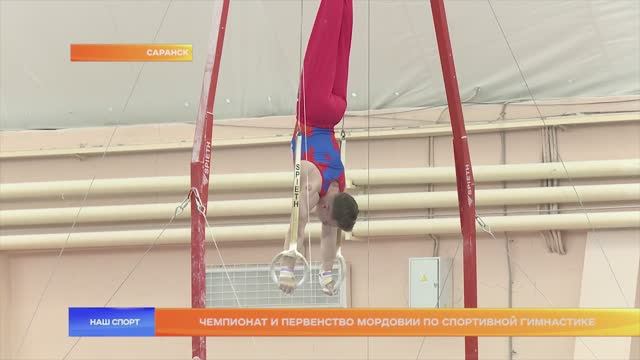 Чемпионат и первенство Мордовии по спортивной гимнастике