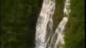 "Утро" из сюиты "Пер Гюнт". Э. Григ