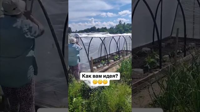 ЭТО ЖЕ ГЕНИАЛЬНО! #огород #сад #растения #заготовкаеды #заготовкиназиму #лайфхаки #мем