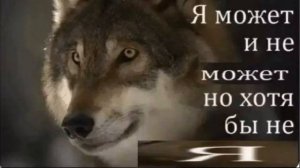 Важное обращение к зрителям