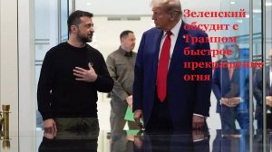 Зеленский обсудит с Трампом быстрое прекращение огня