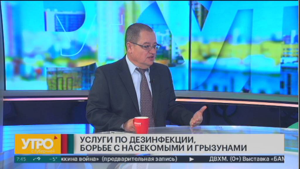 Услуги по дезинфекции, борьбе с насекомыми и грызунами. Утро с Губернией. 08/11/2024. GuberniaTV